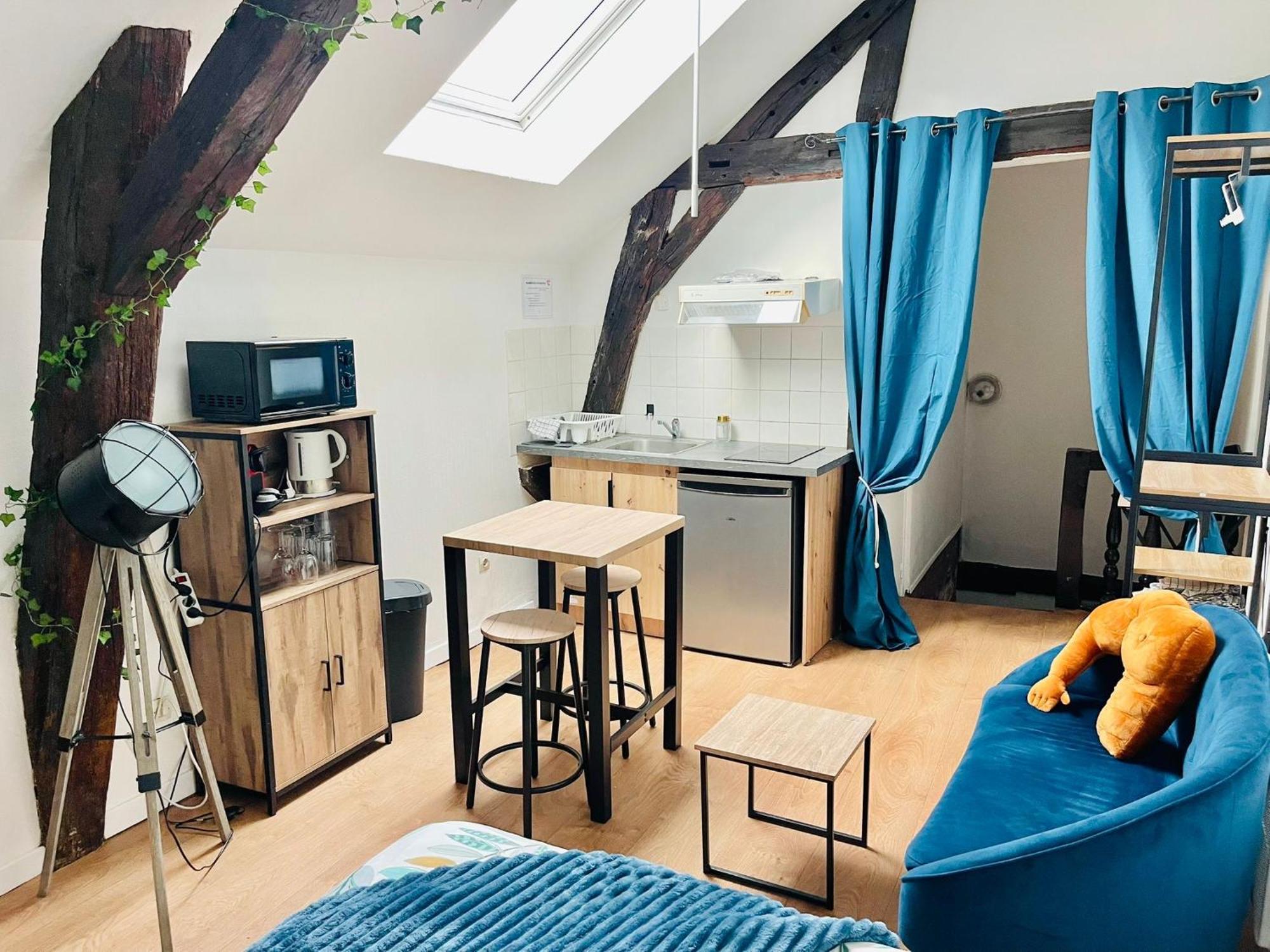 Le Nid Suspendu Apartment Orleans